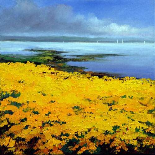 Rapeseed At The Seaside