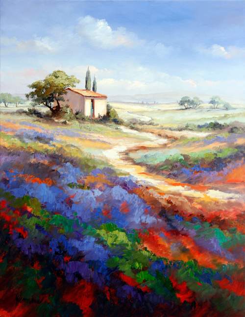 Lavendel In Provence