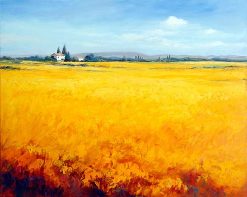 Summerfield In The South Of Pisa