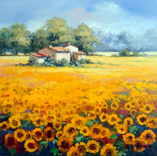 Sunflowers In Bonnieux