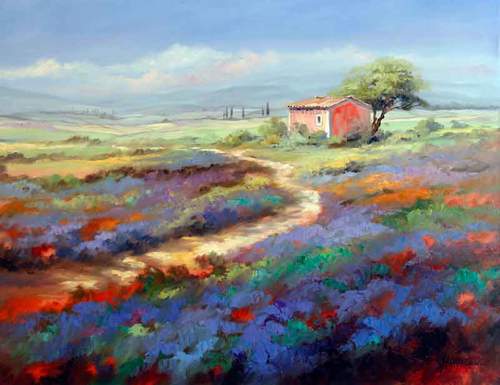 Lavendler Near Bonnieux