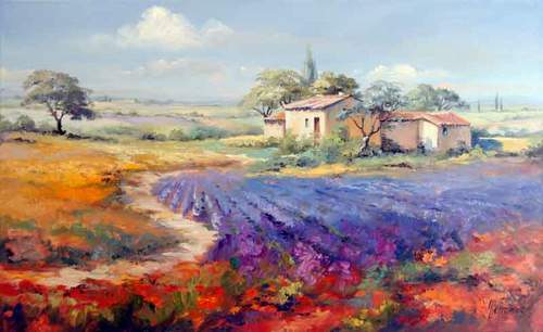 lavenderfield Provence