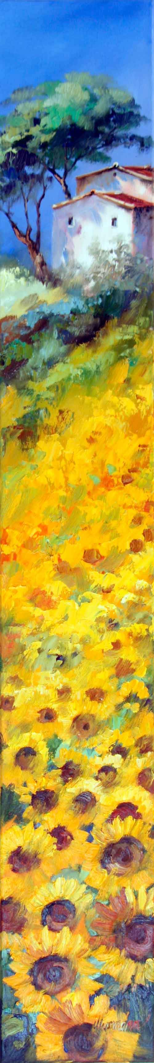 Sunflowers In Provence