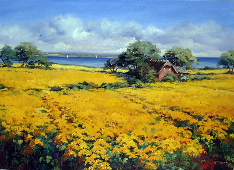 Rapefield At The Sohue