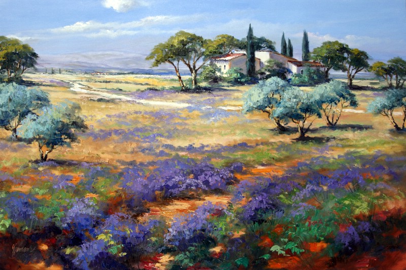 Lavender In Provence Landscape