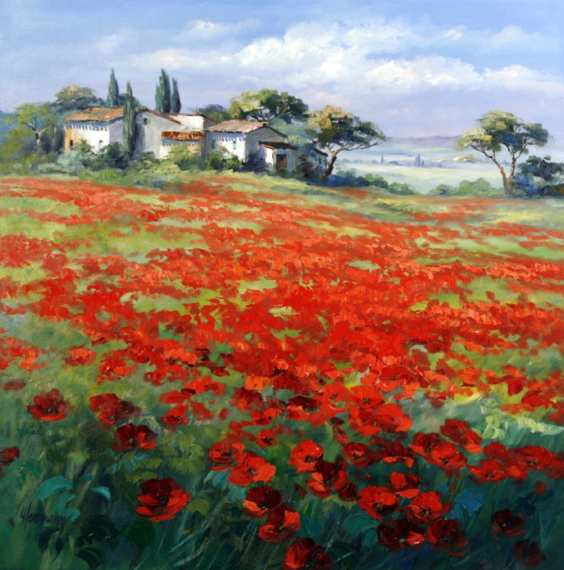 Poppy Filed Near Lourmarin