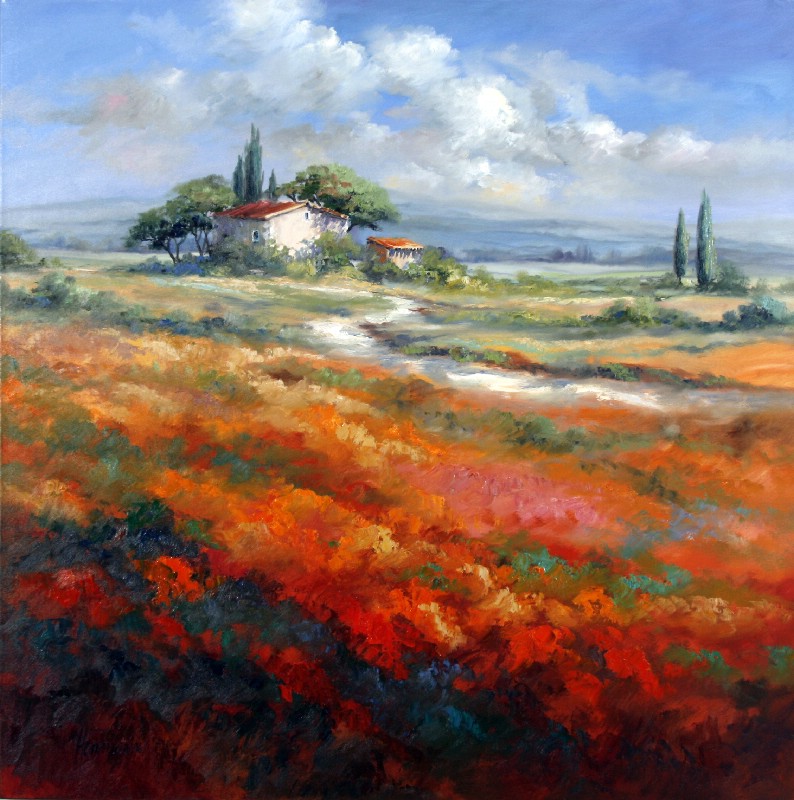 Summer Field In Vausluse