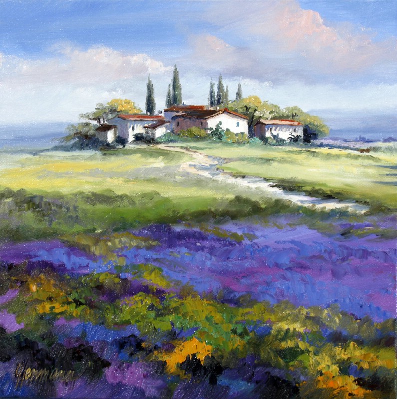 Lavender In The Haute Provence I