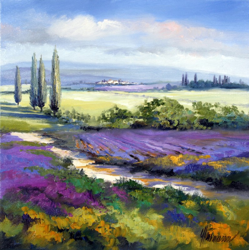 Lavender In The Haute Provence II
