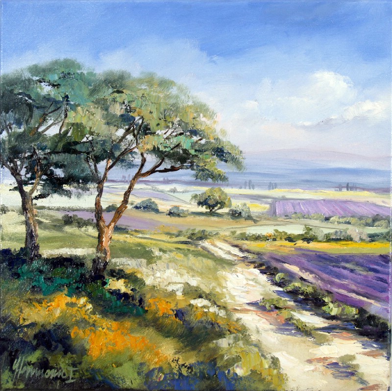 Landschaft Bei Apt - Provence I