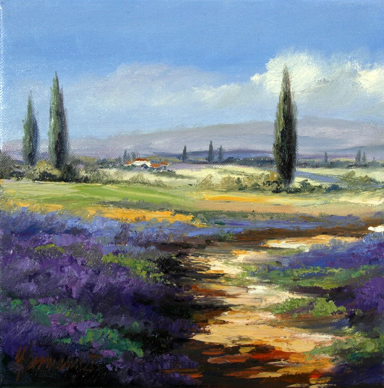Lavender In Vaucluse I