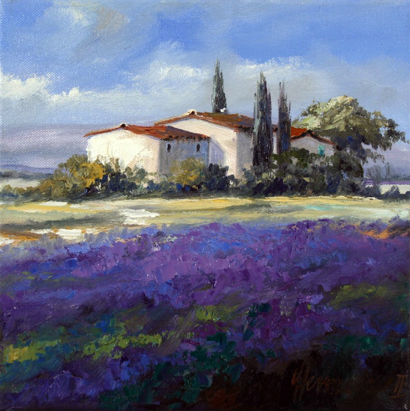 Lavender In Vaucluse II