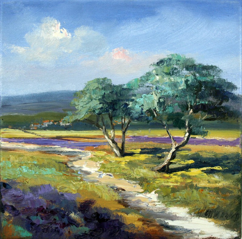 Provence Näre Mont Ventoux II