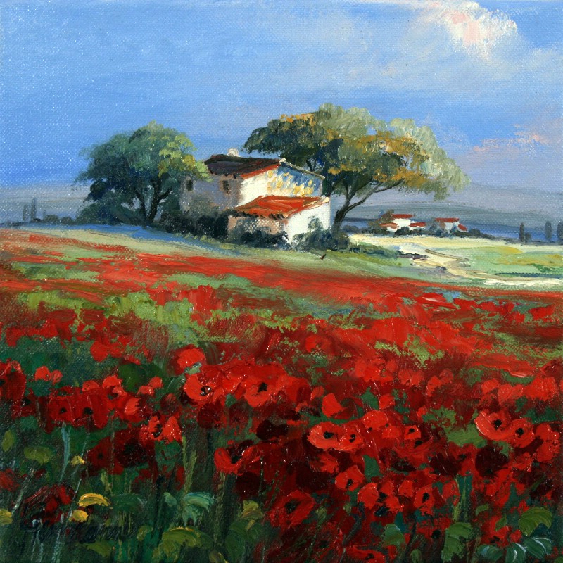 Poppy Near Bonnieux I