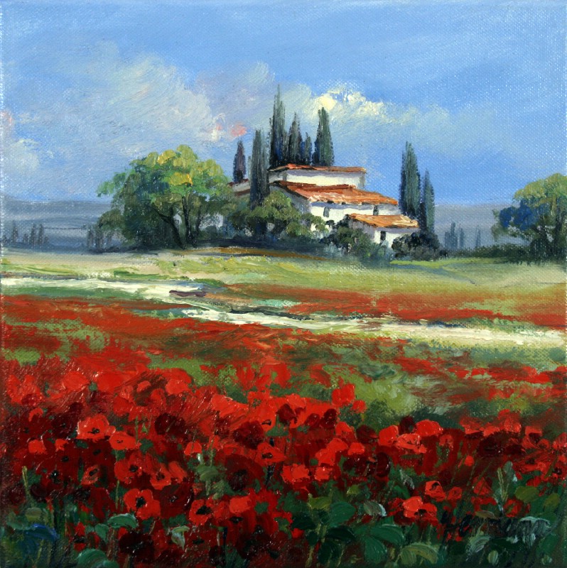 Poppy Near Bonnieux II