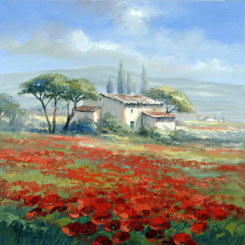 Poppies In The Light