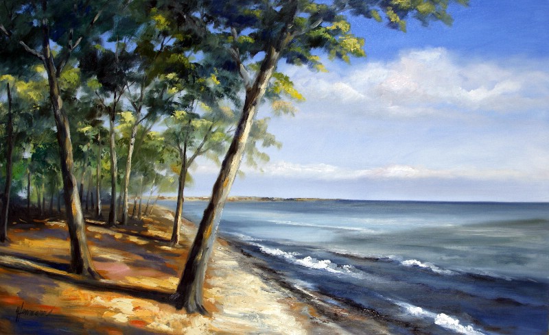 Trees At The Baltic Sea