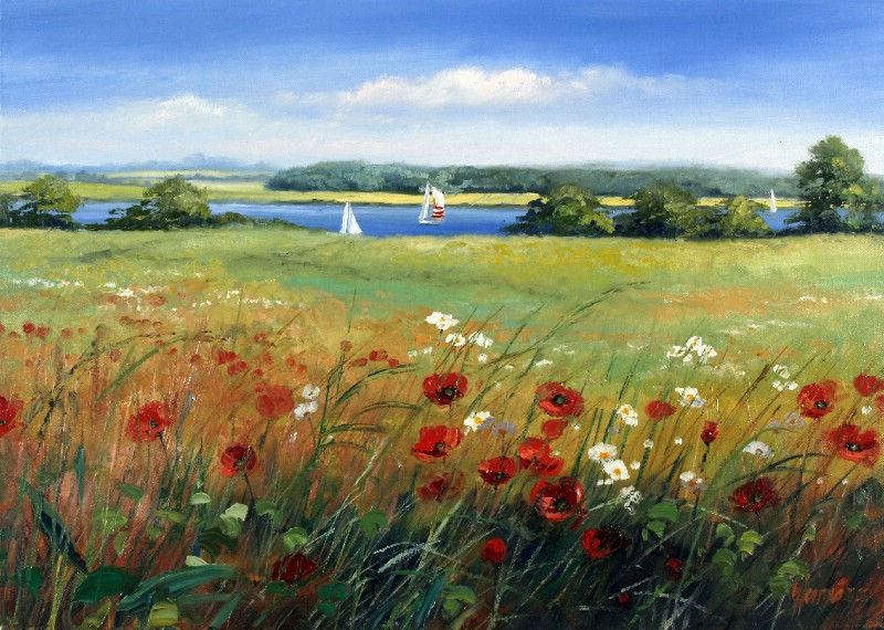 Landscape Of Alssund