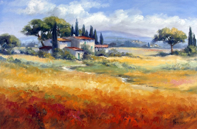 Cornfield In Toscany