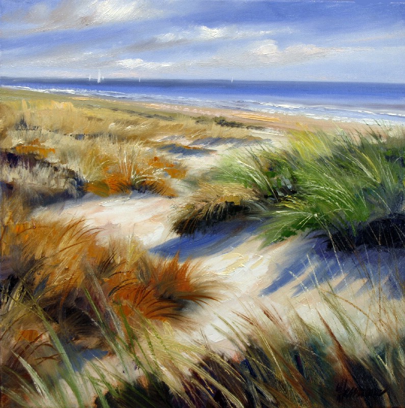 Baltic Sea Beach - Denmark