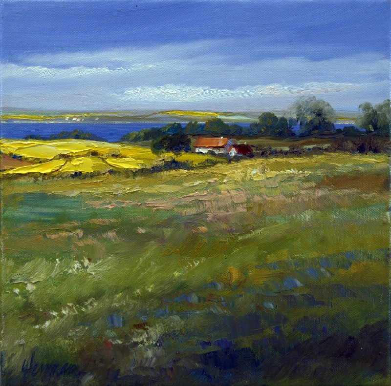 View To The Rape Fields - Denmark