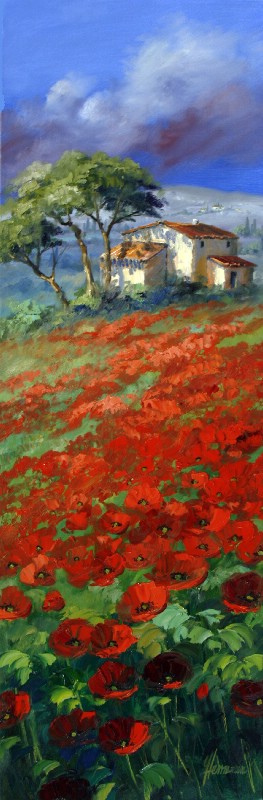 Poppy Field In The South