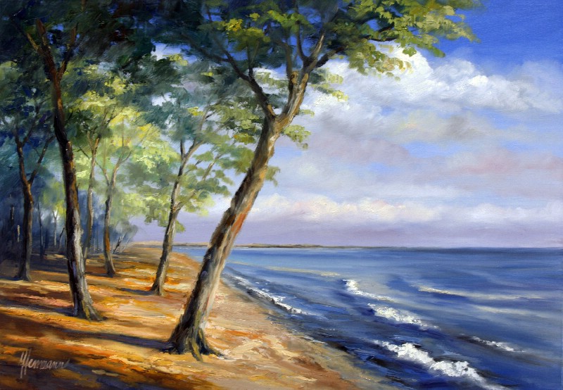 Trees At The Baltic Sea