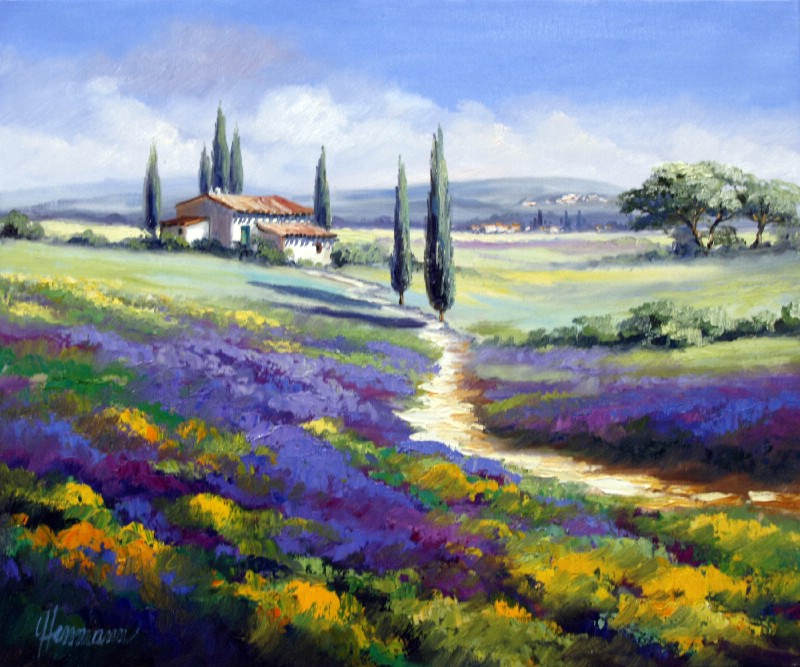 Provence Lavender In June