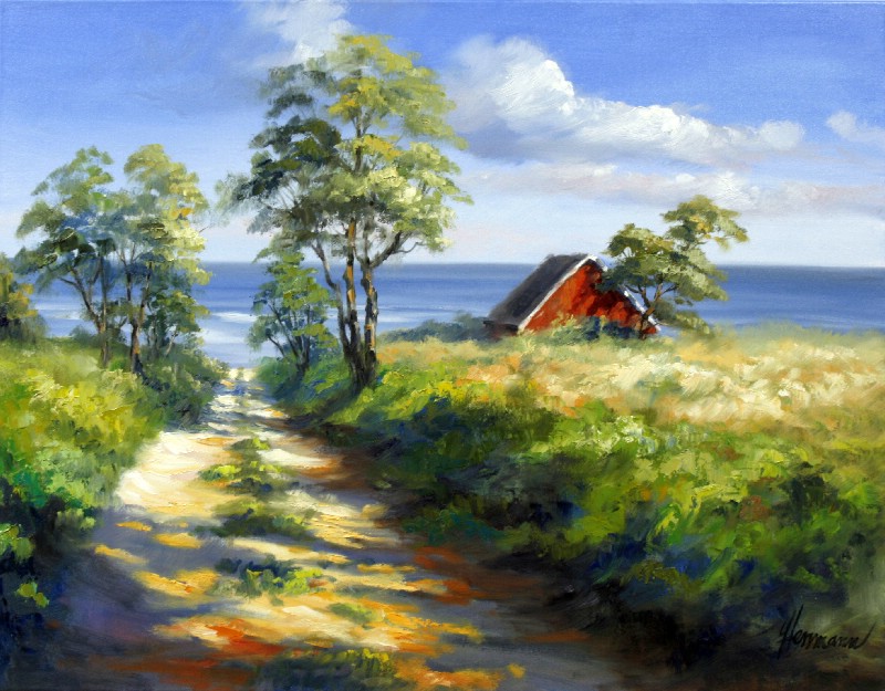 Danish Landscape At The Coast