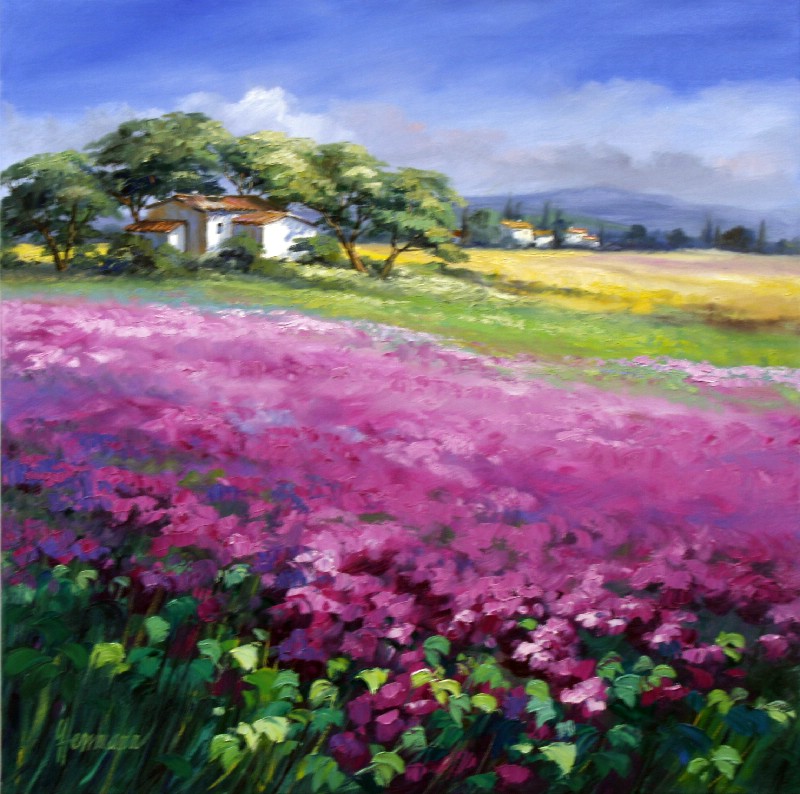 Summerfields In Provence