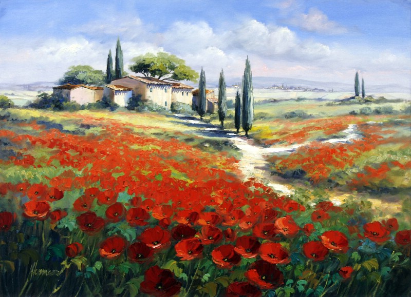 Feld Mit Mohn - Toskana