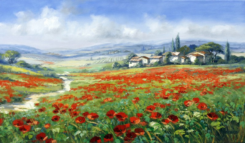 Blick Uber Mohnfelder