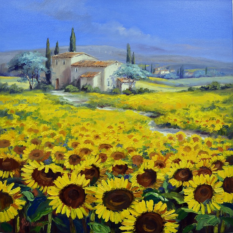 Pathway Though Sunflowers