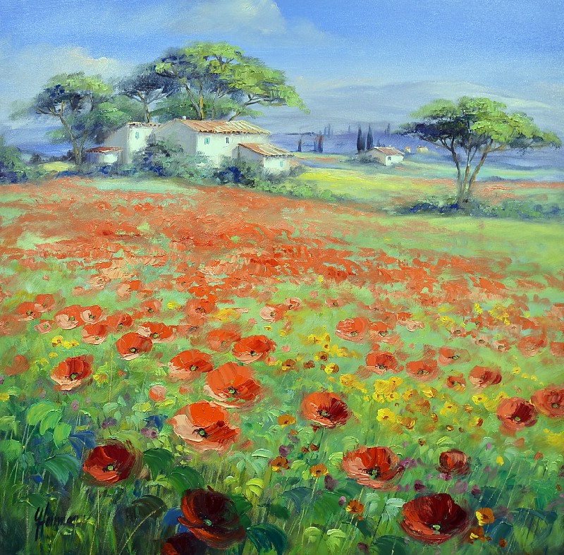 Fields With Poppies In Provence