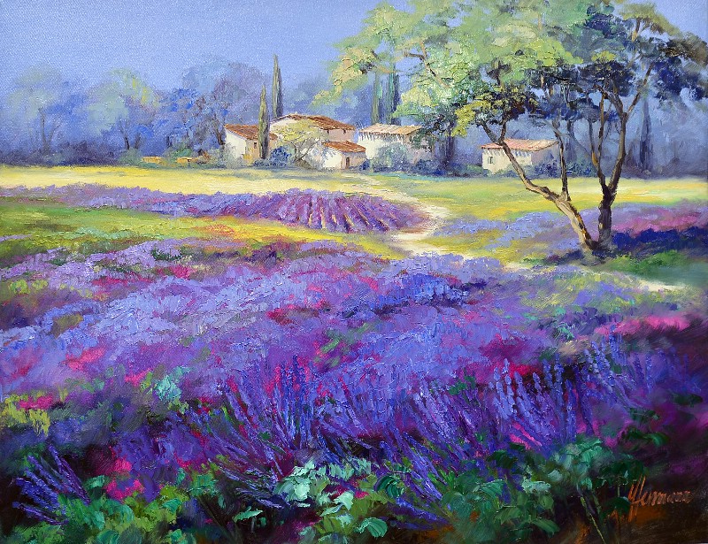 View Over Lavander Fields