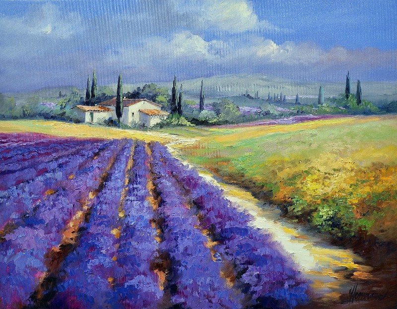 Lavender Rows