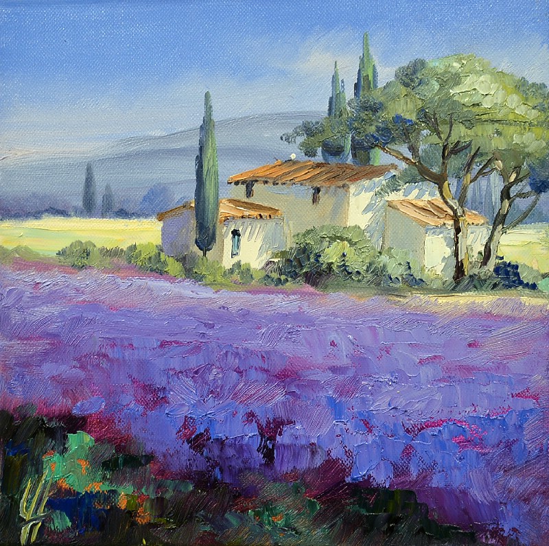 Lavender Fields I