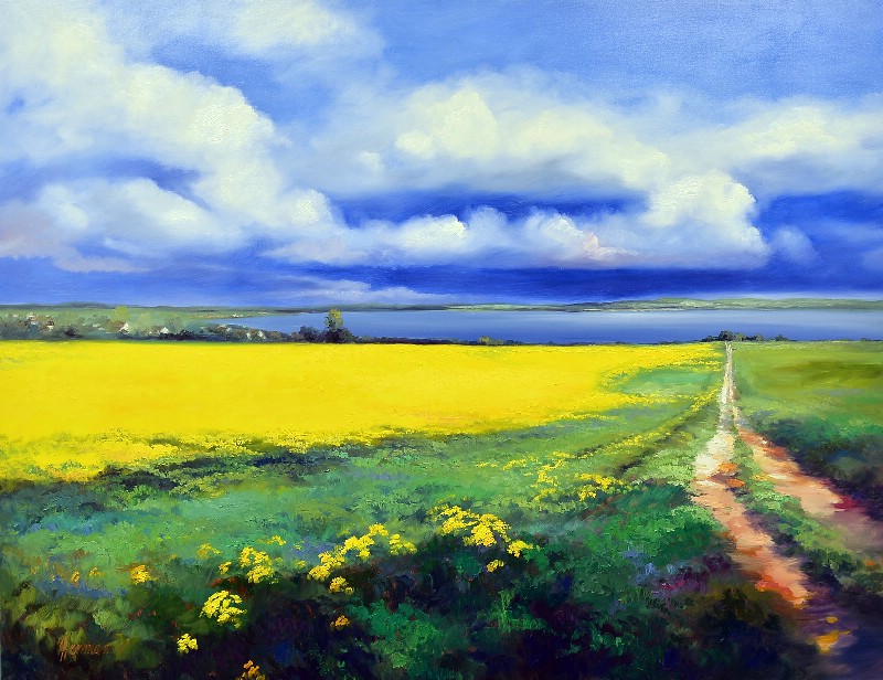 Rapeseed Landscape - Jylland