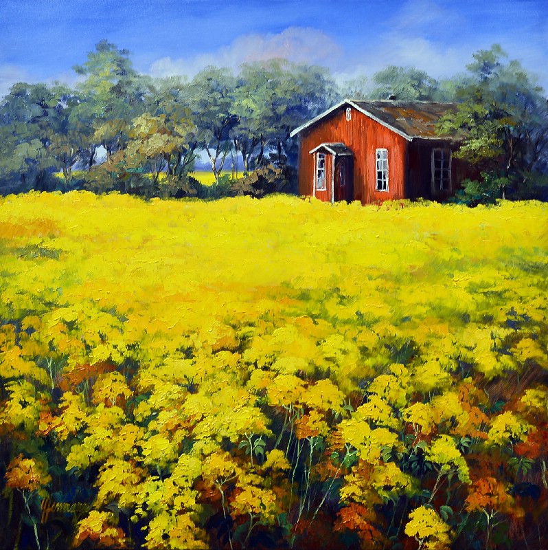 Bright Rape Field - Near Sønderborg