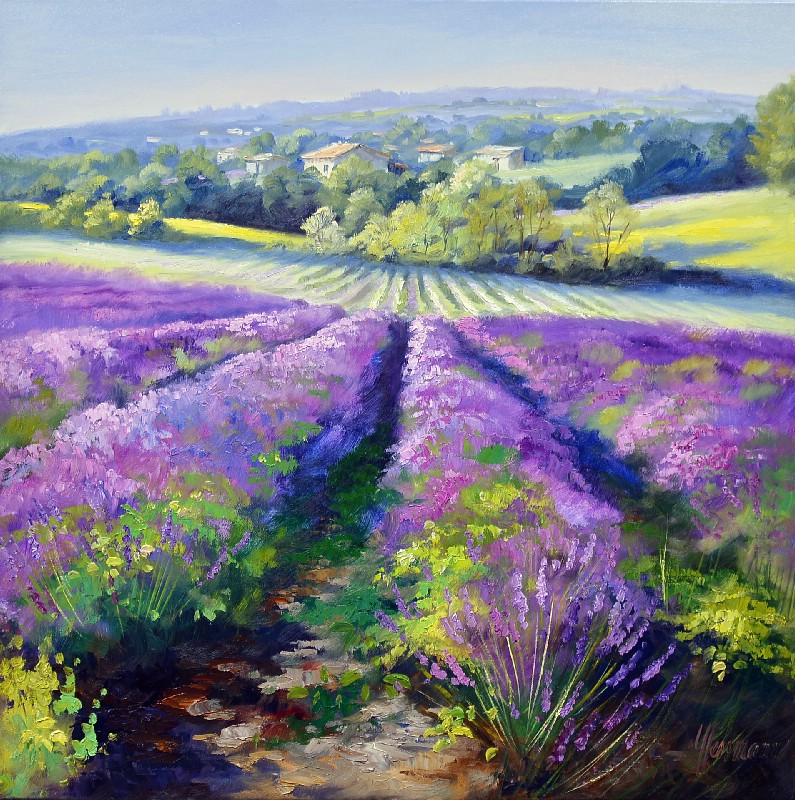 Lavender Rows At St. Matin