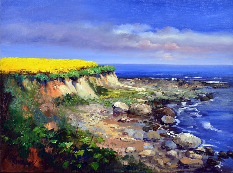 Rape Field At The Sea