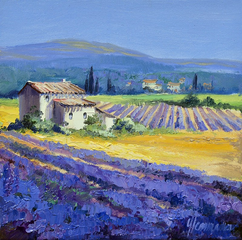 Lavender At The Luberon II