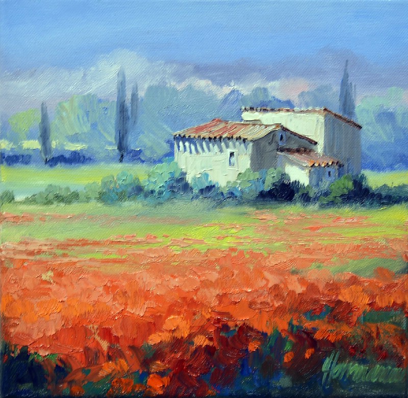 Field Of Poppy In Provence I