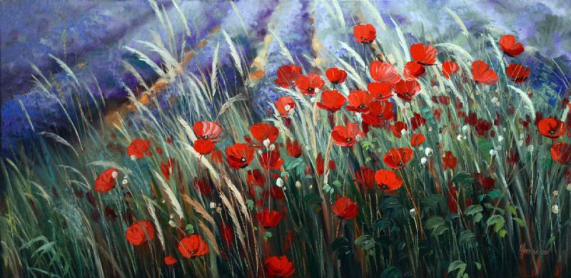 Lavender Field With Poppies