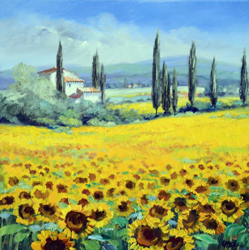 Sunflowers In The Luberon