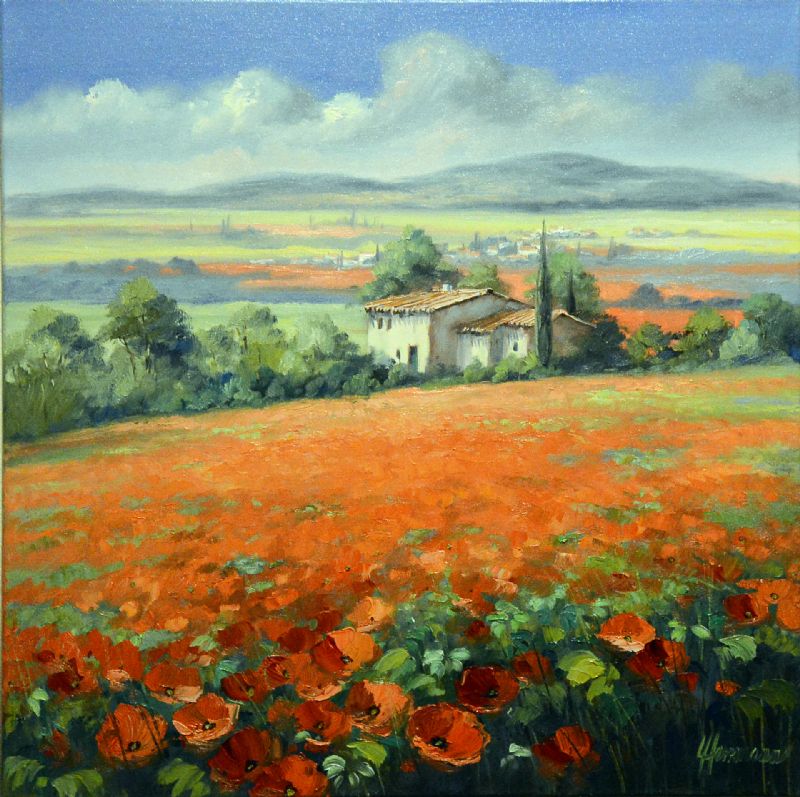 Poppyfields In Southern France