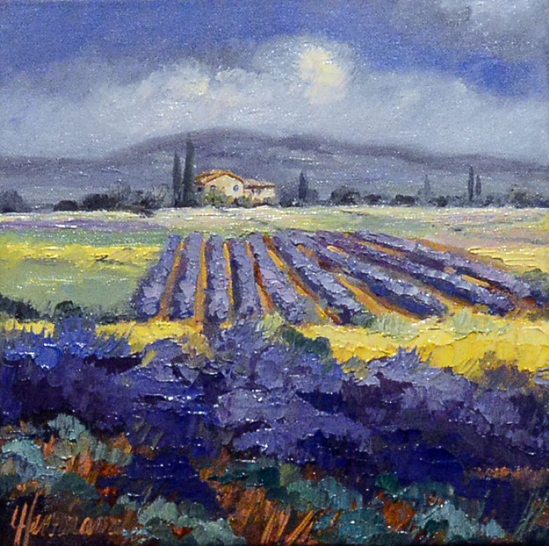 Lavenderfields in The Luberon II