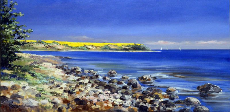 View At Distand Rapeseed Fields