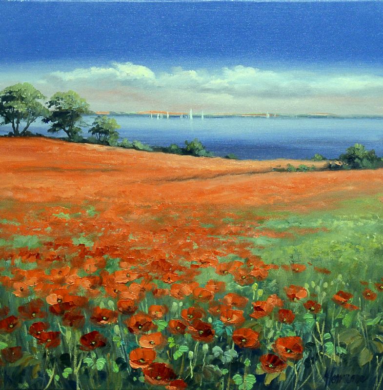 Field Of Rapeseed At The Coast