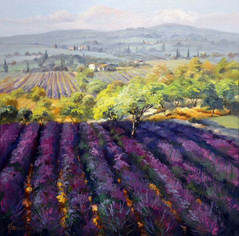View Over Lavender Rows